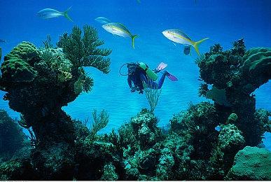 横向卷轴射击游戏《恶魔引擎：完整版》宣布跳票 11月9日发售